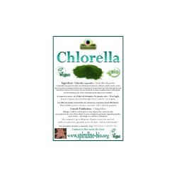 Chlorelle Bio Poudre 150 gr